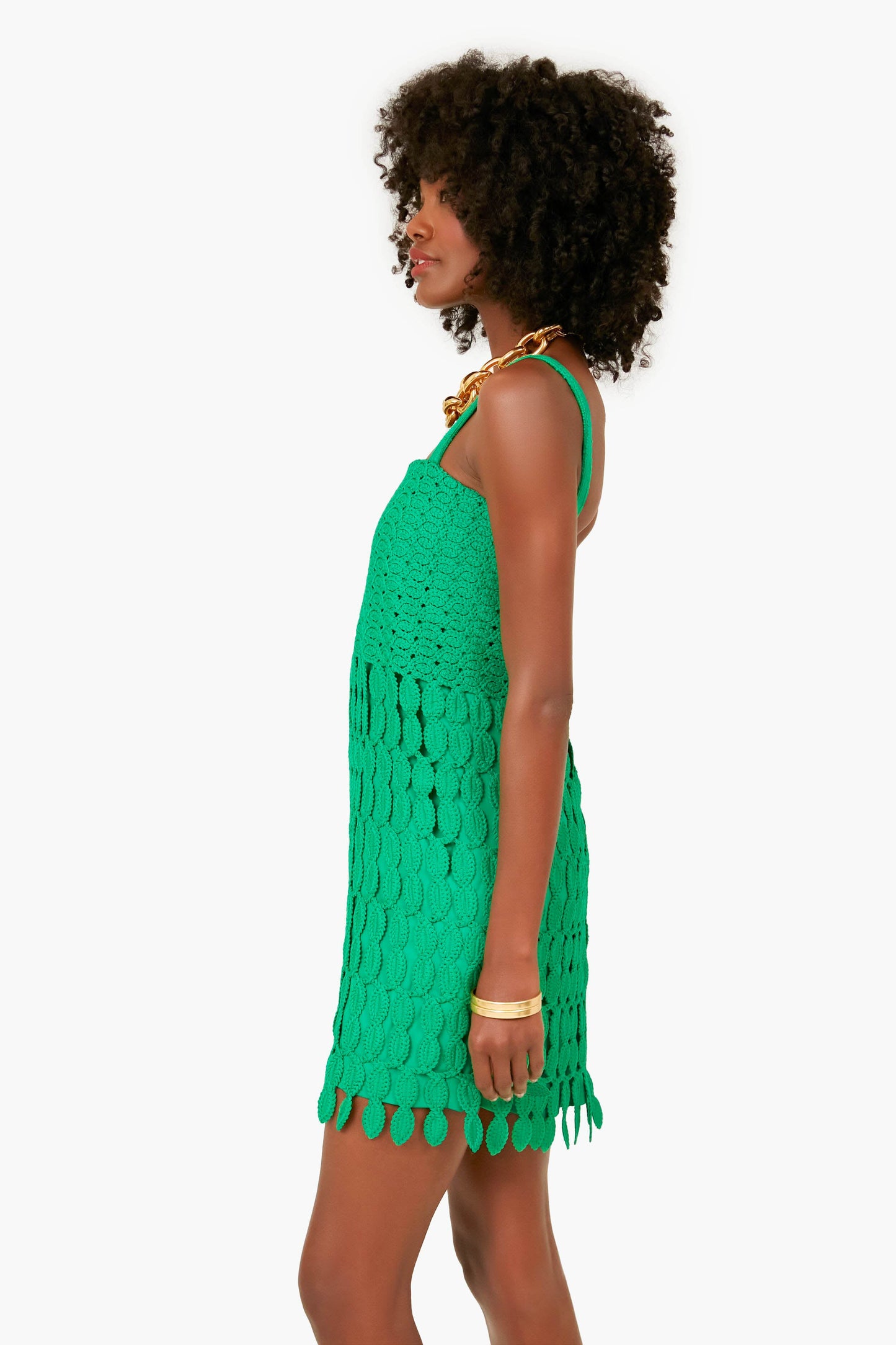 Parakeet Velies Dress