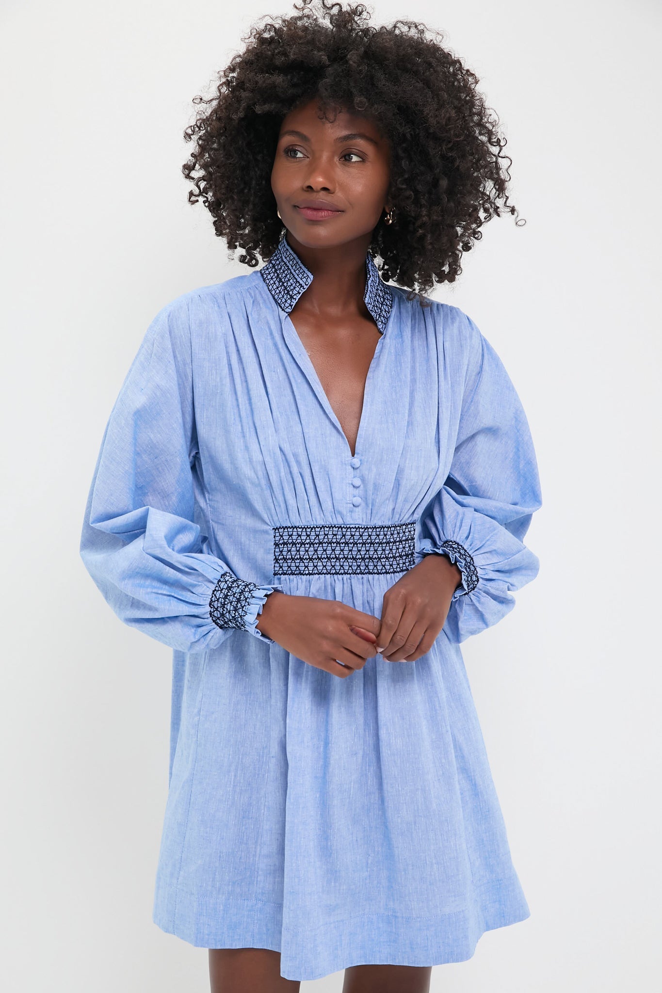 Chambray Embroidered Aubury Dress