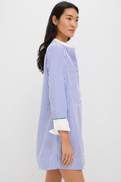 Blue Stripe Rohan Shirt Dress