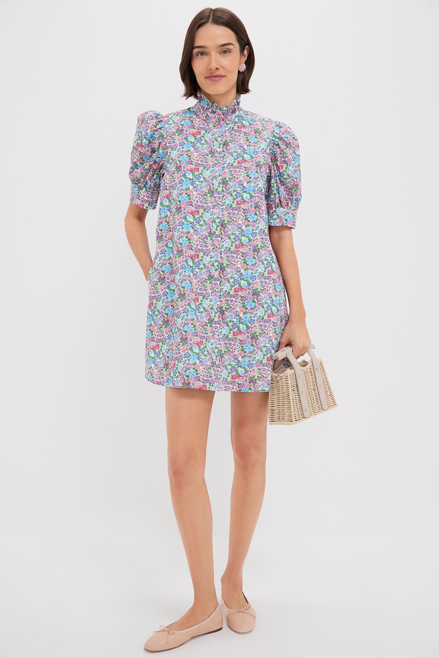 Multi Rose Floral Louisa Mini Dress