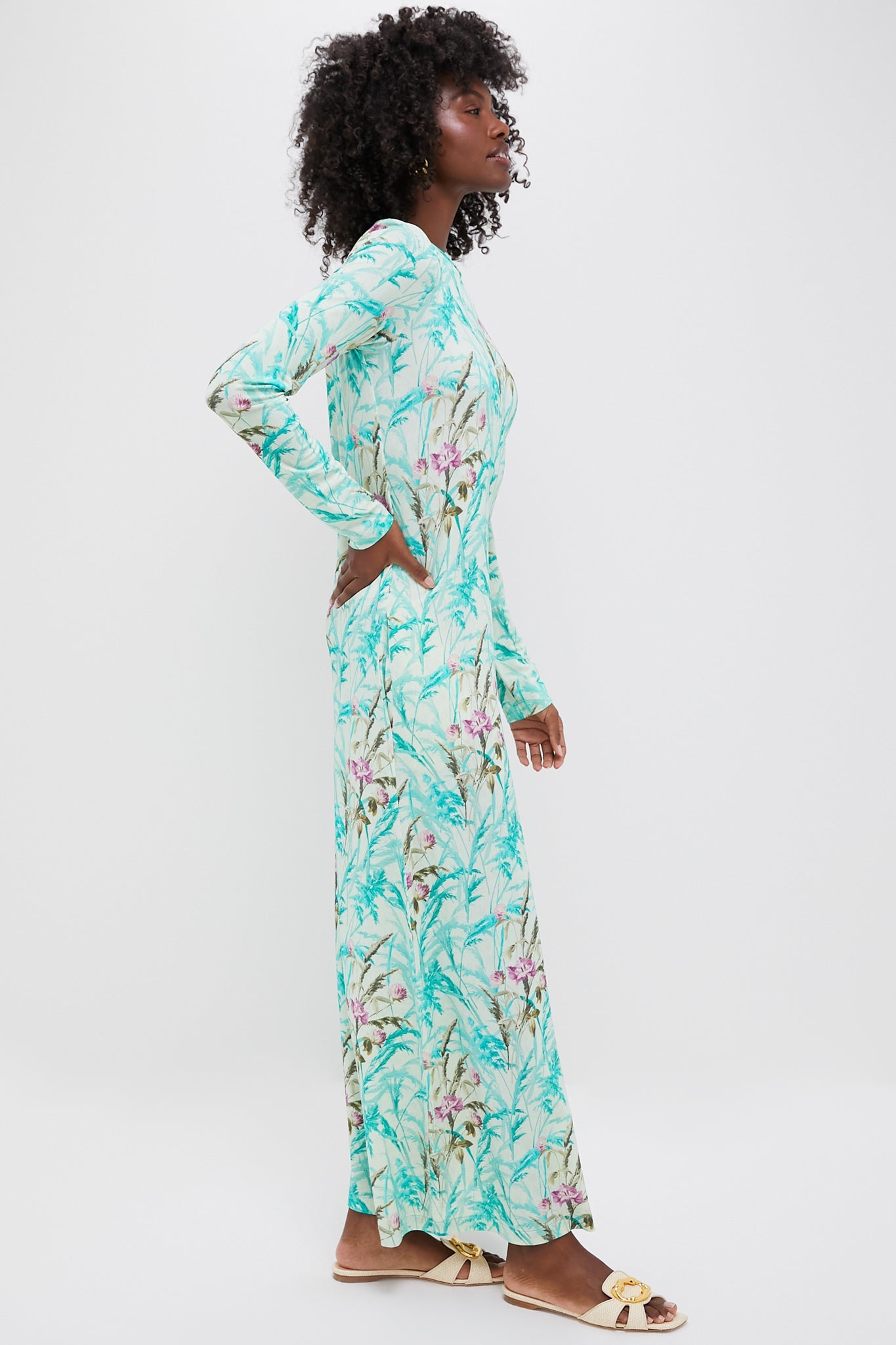 Heath Long Sleeve Swing Dress