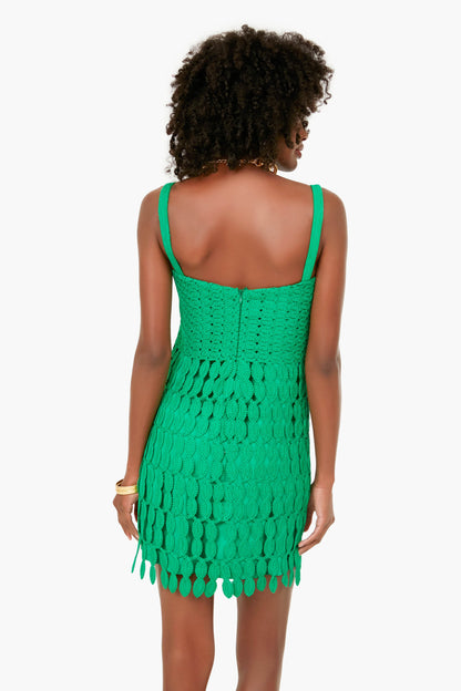 Parakeet Velies Dress