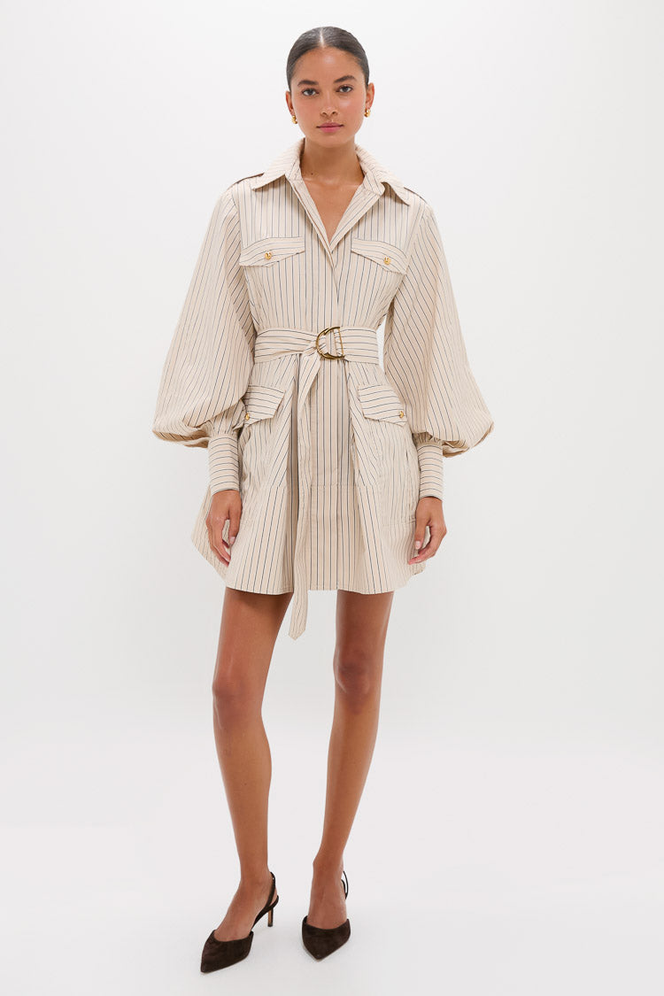 Almond Stripe Memento Utility Mini Dress