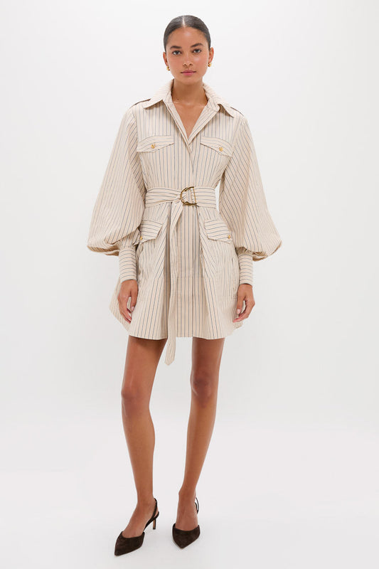 Almond Stripe Memento Utility Mini Dress