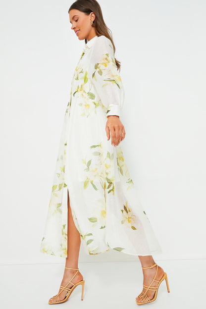 Ivory Magnolia Harmony Draped Shirt Dress