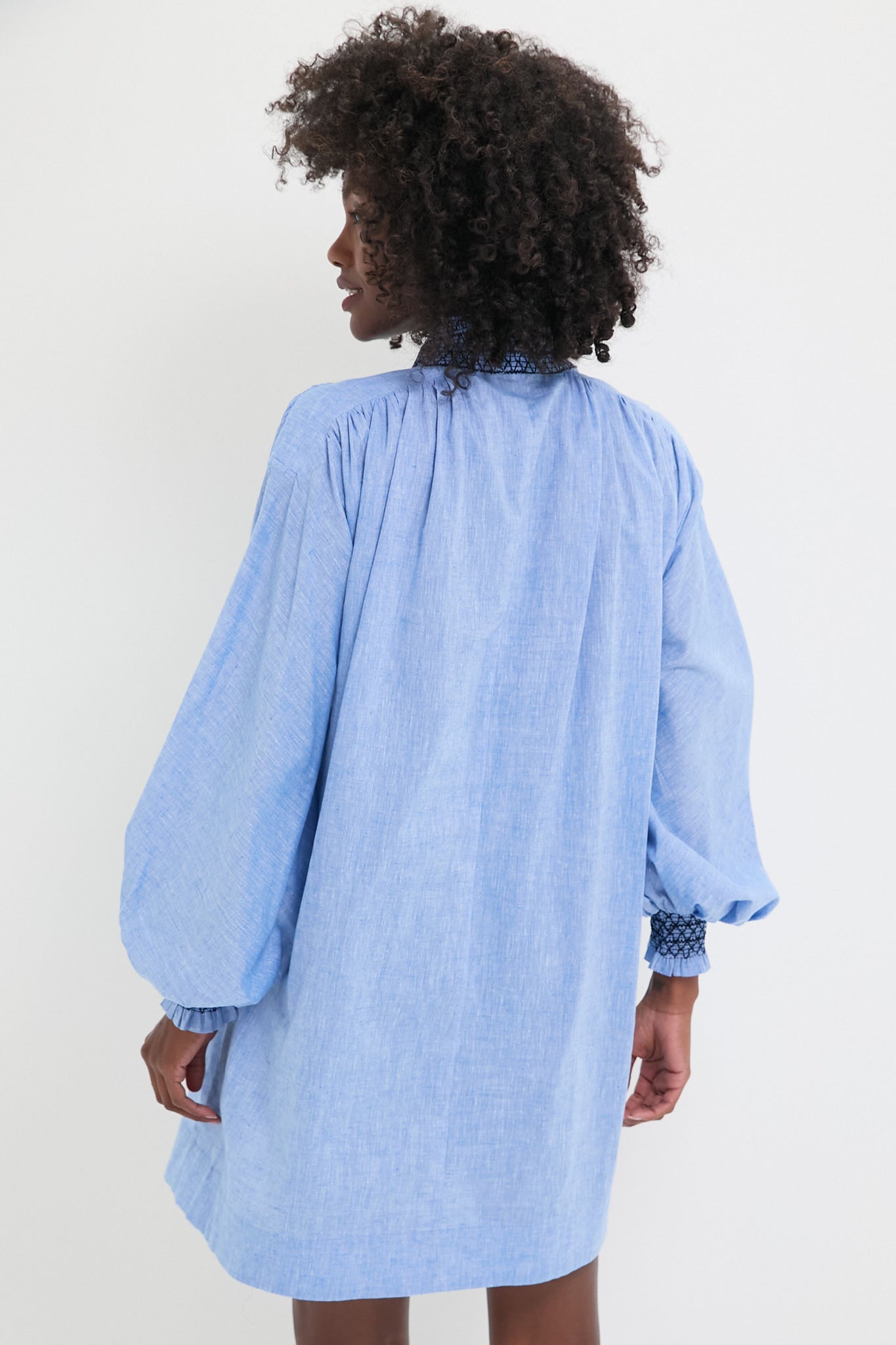 Chambray Embroidered Aubury Dress