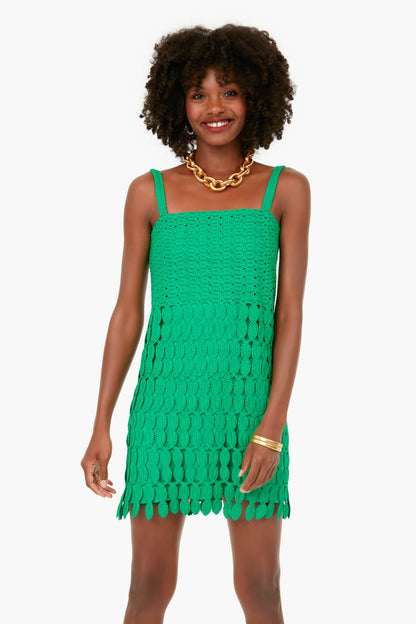 Parakeet Velies Dress
