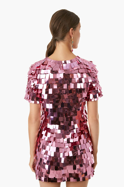 Punch Vivienne Embroidered Sequin Mini Dress