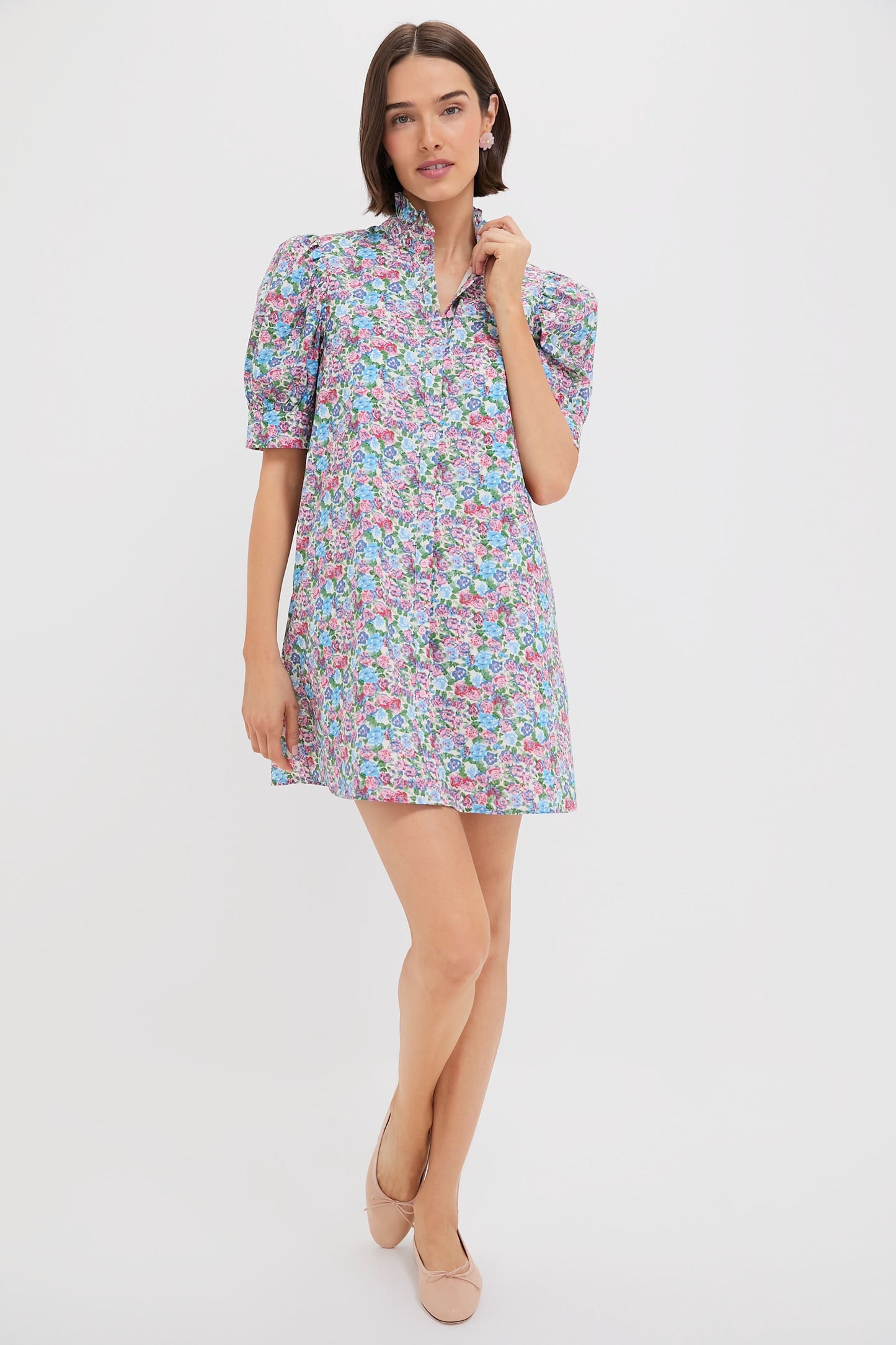 Multi Rose Floral Louisa Mini Dress